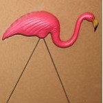 pink flamingo