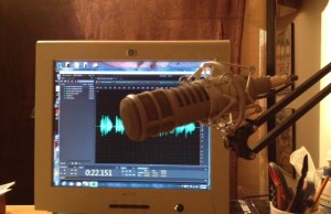 microphone in front of computer monitor showing audio graph