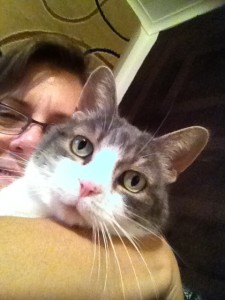 Close up of Sugar's face, grey with white markings, peeking over my arm as I hold her and take a selfie of us