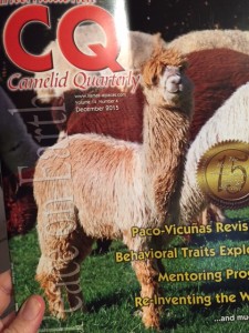 Cover of Camelid Quarterly featuring a tall, blond alpaca