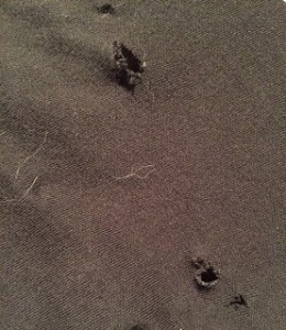 part of a black T shirt with puncture holes in it from Spice's claws