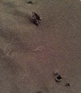 part of a black T shirt with puncture holes in it from Spice's claws