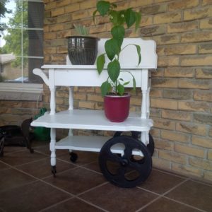 tea trolley now with one leaf attached as a blacksplash, one as a shelf, holding potted plants. Trolley is a fresh white with black wheels