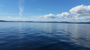 A beautiful view of still water under a mostly sunny sky