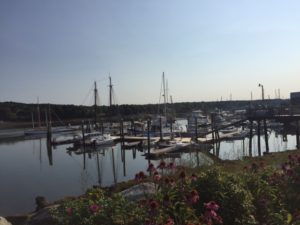 dozens of sailboats gathered in a beautiful harbour