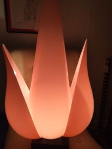 tulip lamp lit up