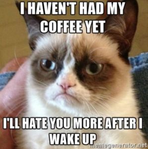 meme with closeup of Grumpy Cat and text: I haven't had my coffee yet. I'll hate you more after I wake up