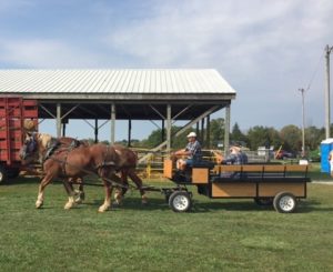 two large draft horses pulling a cart with three men riding on it