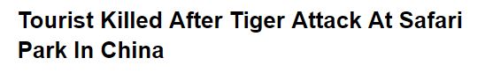 Headline read Tourist Killed After Tiger Attack at Safari in China
