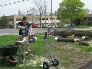 derek cutting up a downed tree on our front lawn