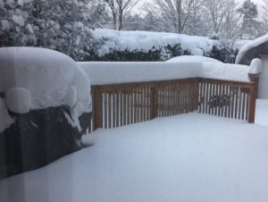More than a foot of snow on the deck rails and top of the covered barbecue. In the background is our cedar hedge, also buried in snow