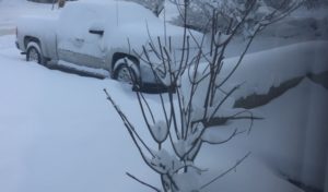 view from our front window shows a bare tree, the brick edge of our entryway and Derek's truck all under more than a foot of snow