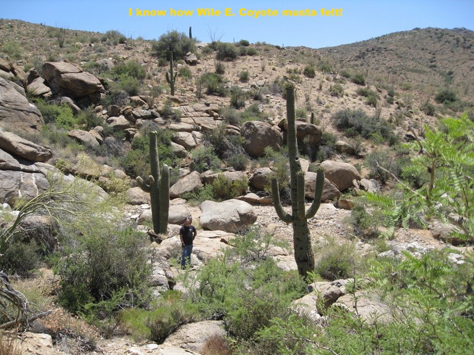 Derek stands between two cactuses that are at least 30 feet high each