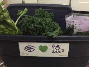 blue plastic bin with vegetables peeking out including kale, celery, a cucumber, pea shoots and zucchini