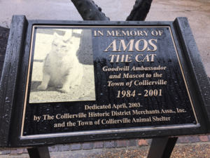 Plaque dedicated to town mascot Amos the cat, 1984-2001. It includes a photo of a fat, white cat.