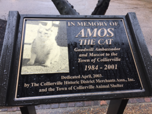 Plaque dedicated to town mascot Amos the cat, 1984-2001. It includes a photo of a fat, white cat. 