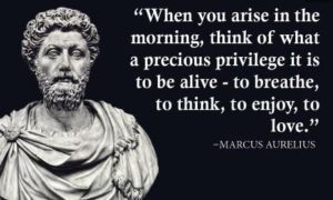 meme featuring a drawing of a Marcus Aurelius bust - with curly hair, a beard, and a robe on his shoulders and the text of a quote: When you arise each morning this of what a precious privilege it is to be alive - to breathe, to think, to enjoy, to love