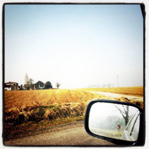 The view of a side mirror on a truck and a wheat field and farm house in the distance