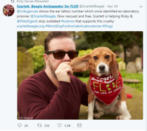 Tweet from a lab-animal rescue organisation shows Ricky with a rescued Beagle named Scarlett and a mention of the millions he has given to animal wefare groups