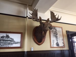 huge moose head on the wall with black and white framed photos of the station surrounding it