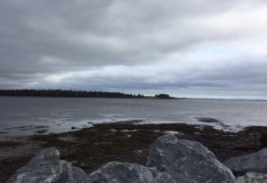 huge, grey rocks in the foreground followed by a nicely sloping shore into water. The other side of the river is visible but not in detail.