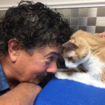Derek and Spice nose to nose at the vet's office