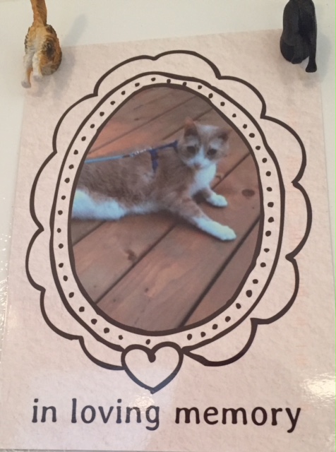 a glossy card that reads In Loving Memory and features a photo of Spice looking into the camera