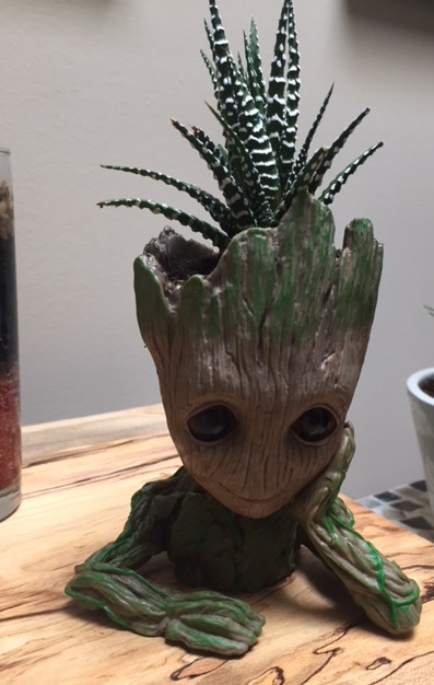 baby groot planter with cactus planted in it, looking like a sprout of hair coming out of his head