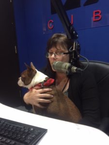 On air and talking into the microphone with brown and white Boston Terrier Pickles on my lap