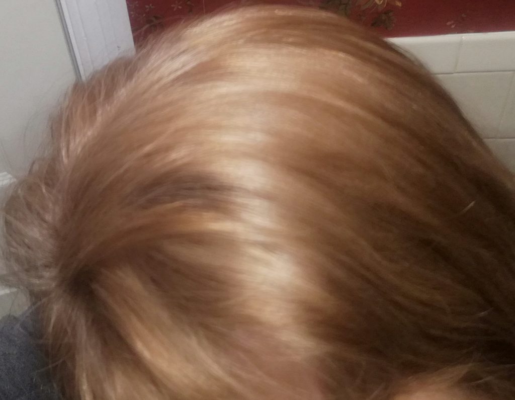 close-up of light reddish blond hair
