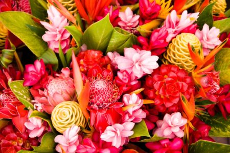 The entire frame is full of red and yellow flowers, plus bright green leaves