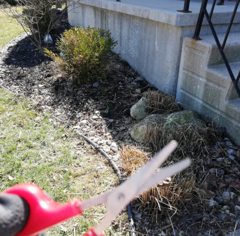 trimmed garden in the background with a tiny pair of scissors in the foreground