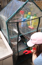 Me, wearing a pink hat and red gloves, leaning down to a roasting pan inside a plastic-covered outdoor shelving unit. 