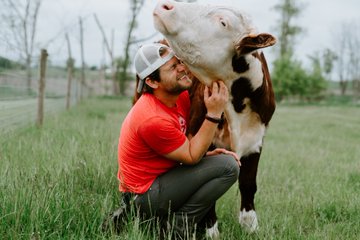 Dan, a 30-something man wearing jeans and a red T shirt, crouches under Mike, a brown and white cow, as he scratches under Mike's chin