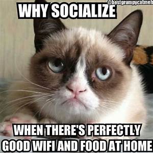 Grumpy Cat meme features a photo of Grumpy Cat and the words: Why socialize when there's perfectly good wifi and food at home. 