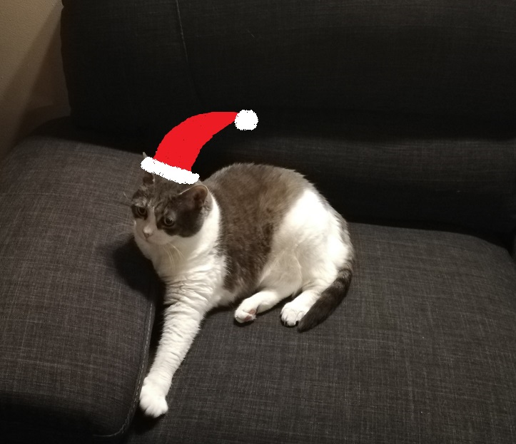 Miss Sugar stretched out on the grey couch with a clipart, red and white santa hat placed on her head