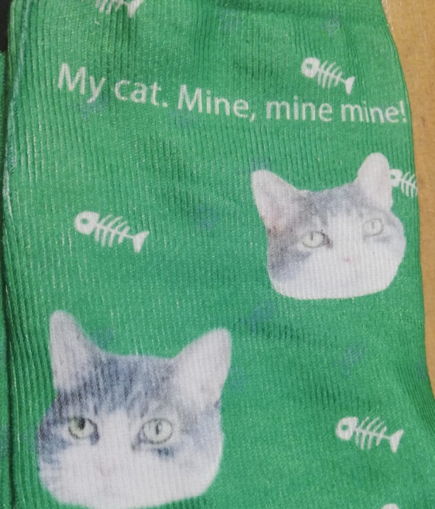 green socks with Miss Sugar's face on them and the words My cat - mine, mine, mine! Also, little fish bones.