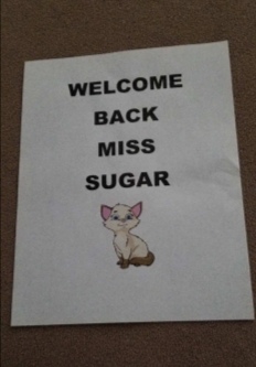 Printed paper that reads Welcome Back Miss Sugar with a cartoon kitty below it.
