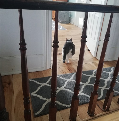Miss Sugar's behind entering the bedroom. The photo is taken from between railing spindles.