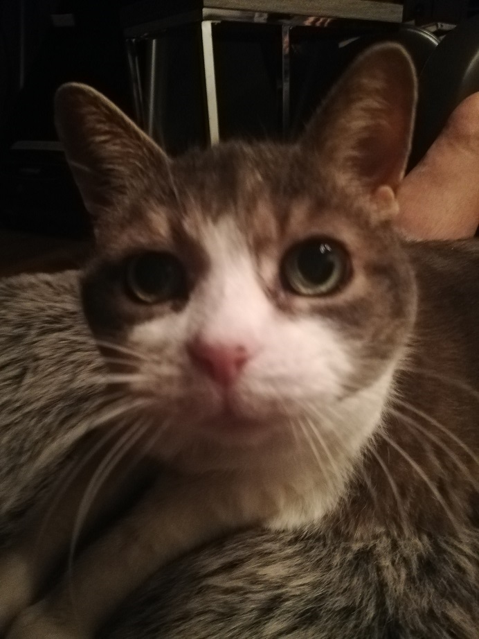 Extreme close-up of Miss Sugar's face, looking curious.