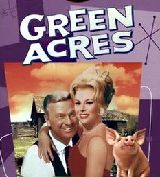 Cover of a Green Acres DVD set showing stars Eddie Albert and Eva Gabor in an embrace, with Arnold the pig off to one side. 