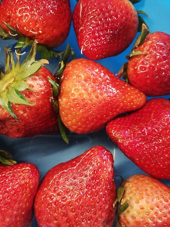 A close-up of fresh strawberries.