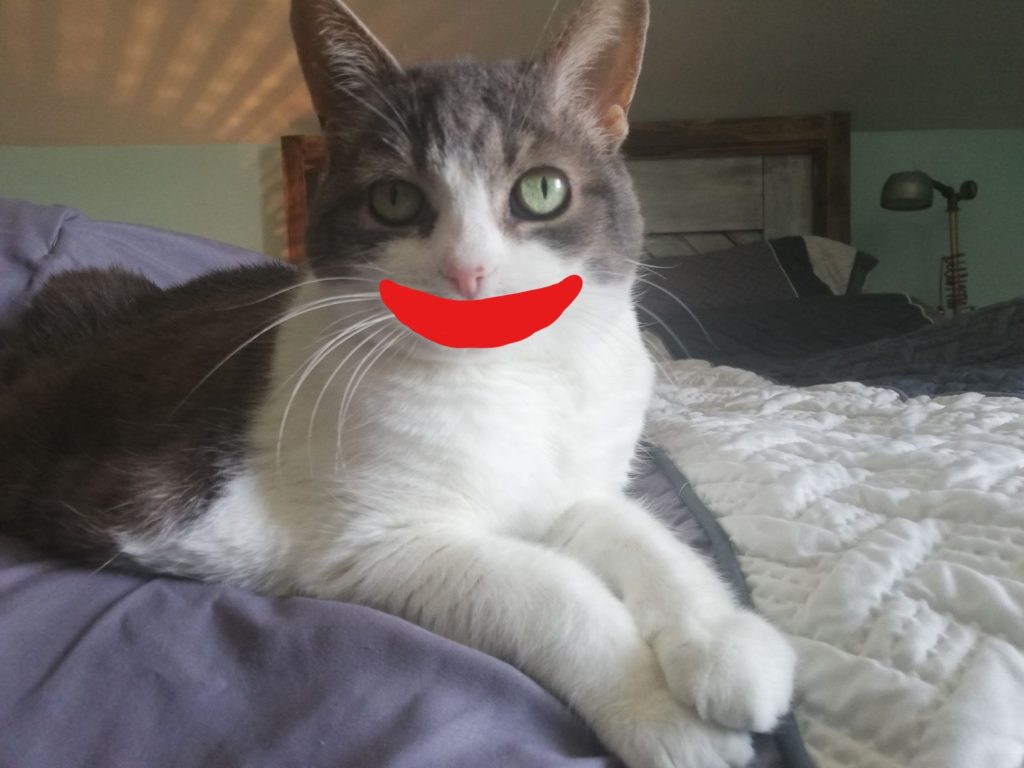 Miss Sugar lying on the bed looking into the camera, with a bright red smile painted on the photo