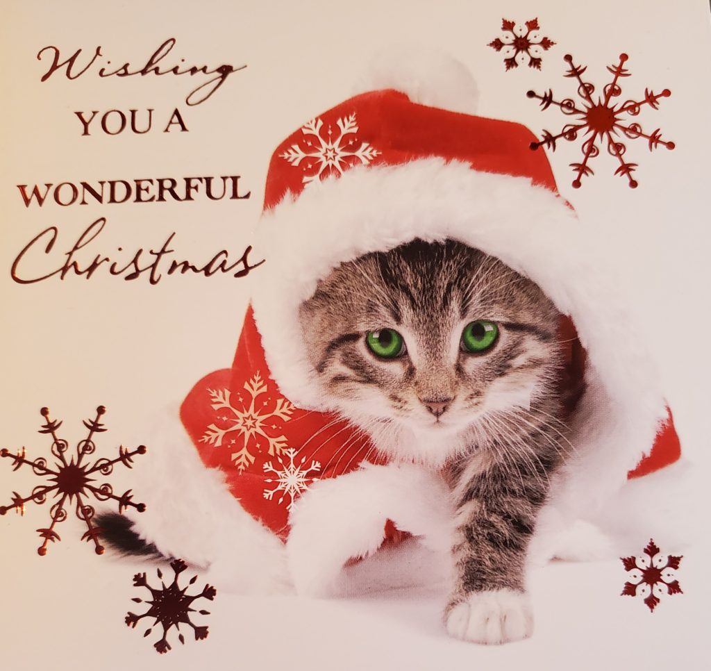 Tiny kitten looks up, wearing a Santa hat, beside the words, Wishing you a wonderful Christmas