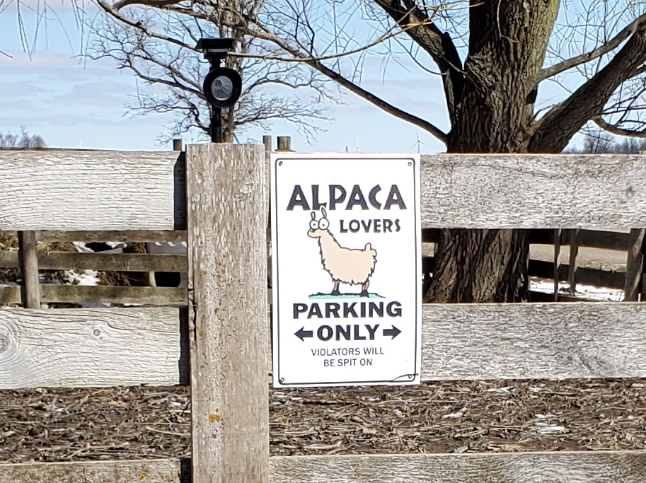 sign that reads: Alpaca lovers parking only. All others will be spit on. Sign is fixed to a horse fence beside a parking spot.