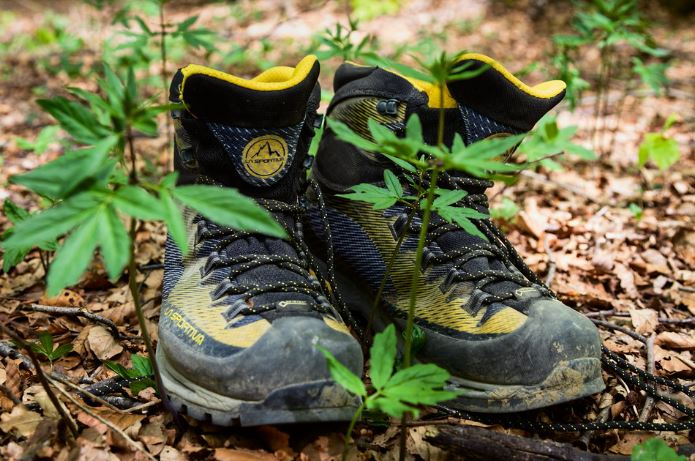 a pair of black and gold hiking shoes on a forest floor with leaves and weeds in view