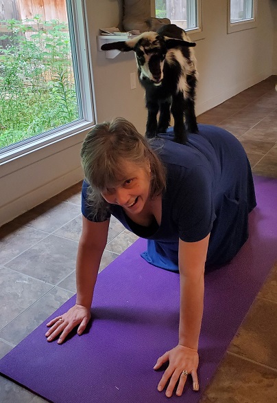 Me on all fours smiling up at the camera as a baby goat stands on my back.