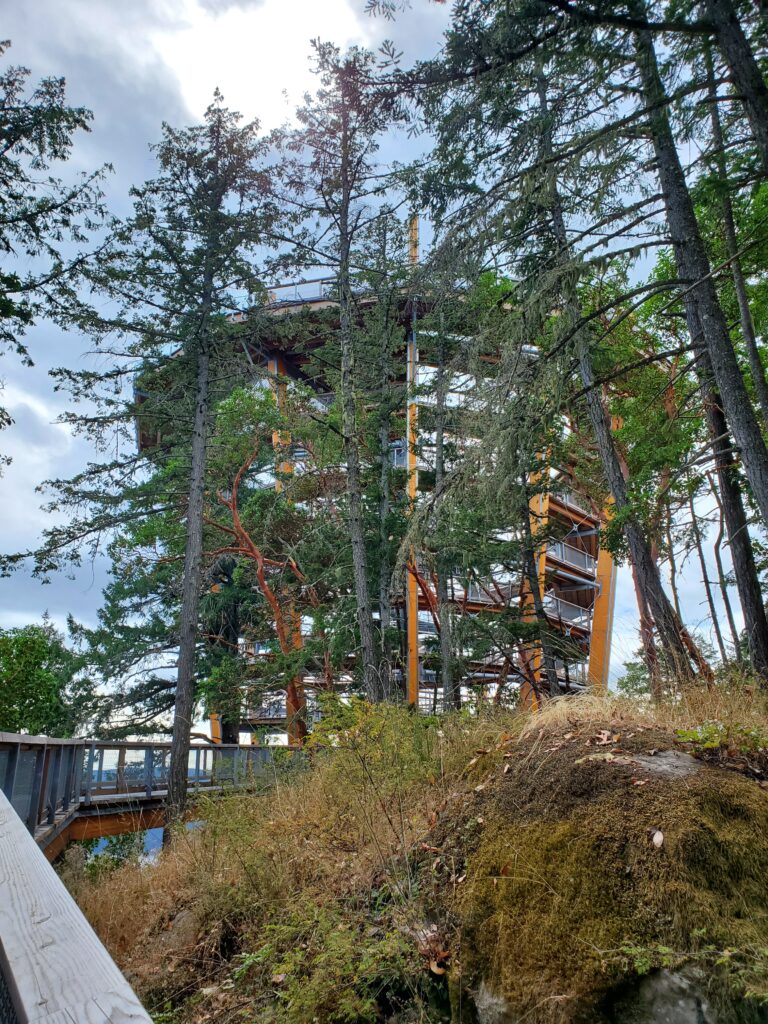 The Malahat Skywalk. A huge spiral ramp walk shaped like a slowly tapering funnel to the ground.