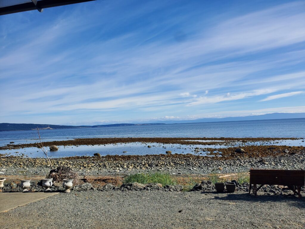 The shoreline at Bowser is rocky. A tide pool has formed as the water recedes. 