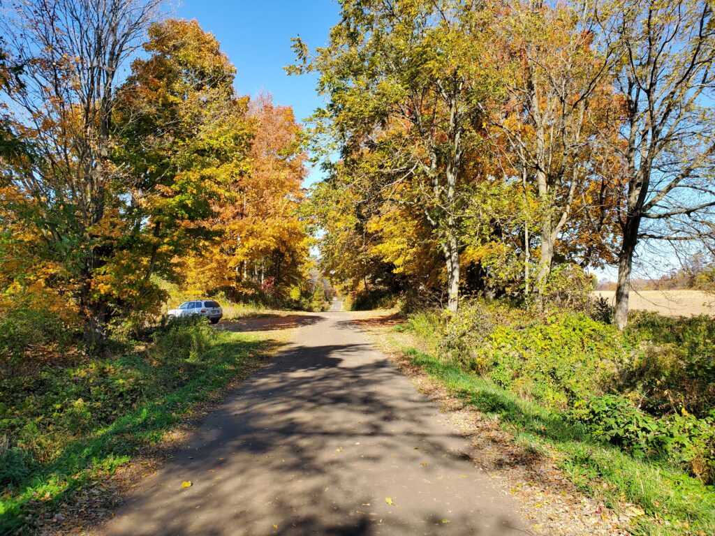 A dirt road with large, colourful trees on either side. A small SUV can be seen parked on the left hand side at the entrance to the woods and trail. 